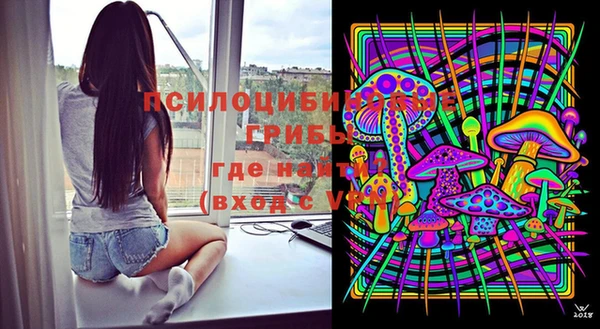 бошки Кострома