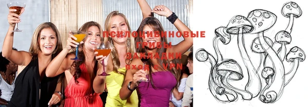стафф Мурманск