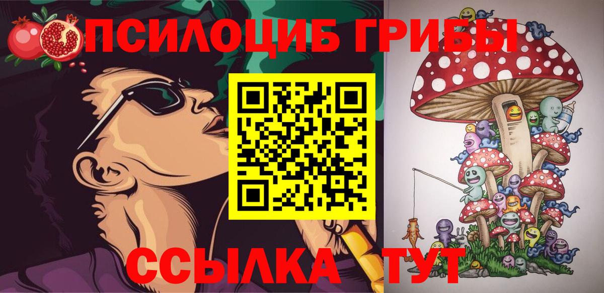 Псилоцибиновые грибы Cubensis Нарткала